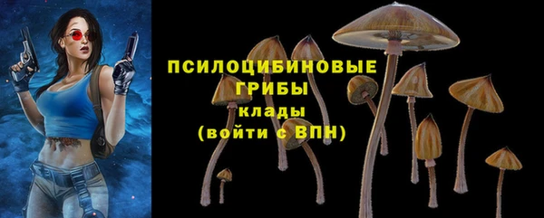 spice Вязьма