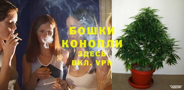 кокс Вяземский