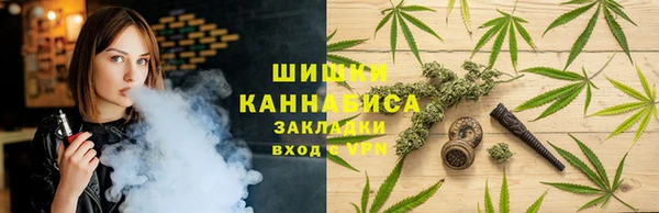 spice Вязьма