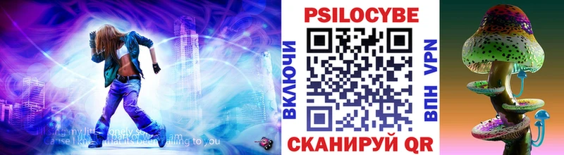 кракен вход как найти закладки Владимир Галлюциногенные грибы Cubensis